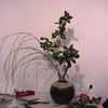 La forme la plus traditionnelle d'ikebana: le seika