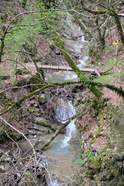 RANDO 7 - SENTIER DES DAMES HAMEAU DES GRANGETTES ST PIERRE D'ALBIGNY