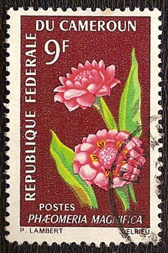 Timbres du monde sur la nature (animaux, fleurs, plantes divers...)