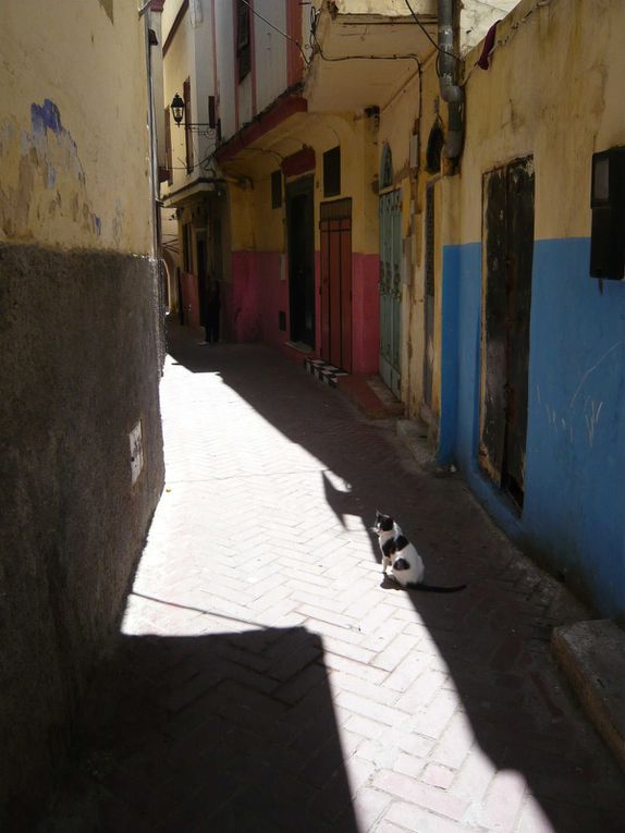 Couleurs de la Médina de Tanger