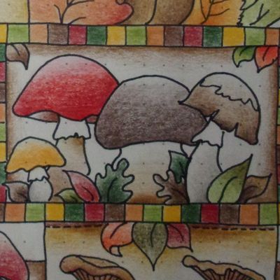 Une histoire de Bullet Journal