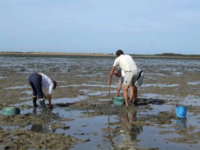 Album - Sortie-Peche-11-Septembre-2010