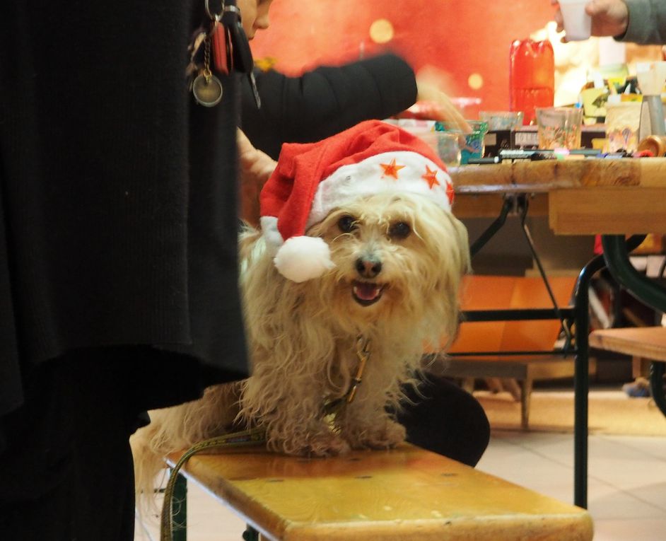 Marché de Noël à L'Effet Froufrou