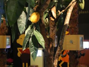 Découvrez la fabuleuse Cité du chocolat Valrhona