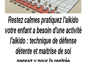 aikikai yonnais reprise des cours enfants venez essayer