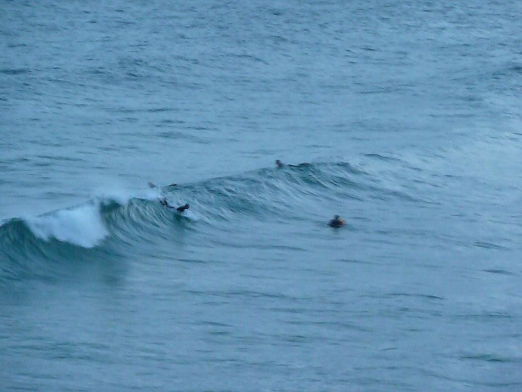 un dimanche au nord de manly ou on a fait une belle balade sur les falaises jusqu'à la plage de curlcurl si je me trompe pas! 

un petit barbecu dans le noir qui s'est transformé en repas à l'appart avec tous les colloc!