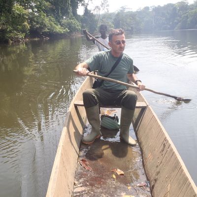 Côte d'Ivoire, Taï (Parc National de Taï): Balade en pirogue sur le fleuve Cavally à Taï à l'Ouest de la Côte d'Ivoire. 