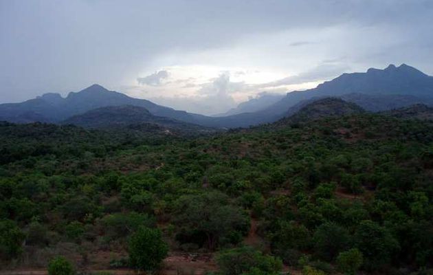                           Chinnar Wildlife Sanctuary
Chinnar Wildlife Sanctuary,