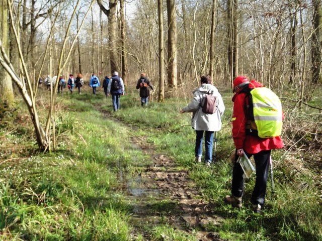 3 jours dans l'Audomarois au Relais du Romelaëre (Nord-Pas-de-Calais)en alternant visites et randonnées.