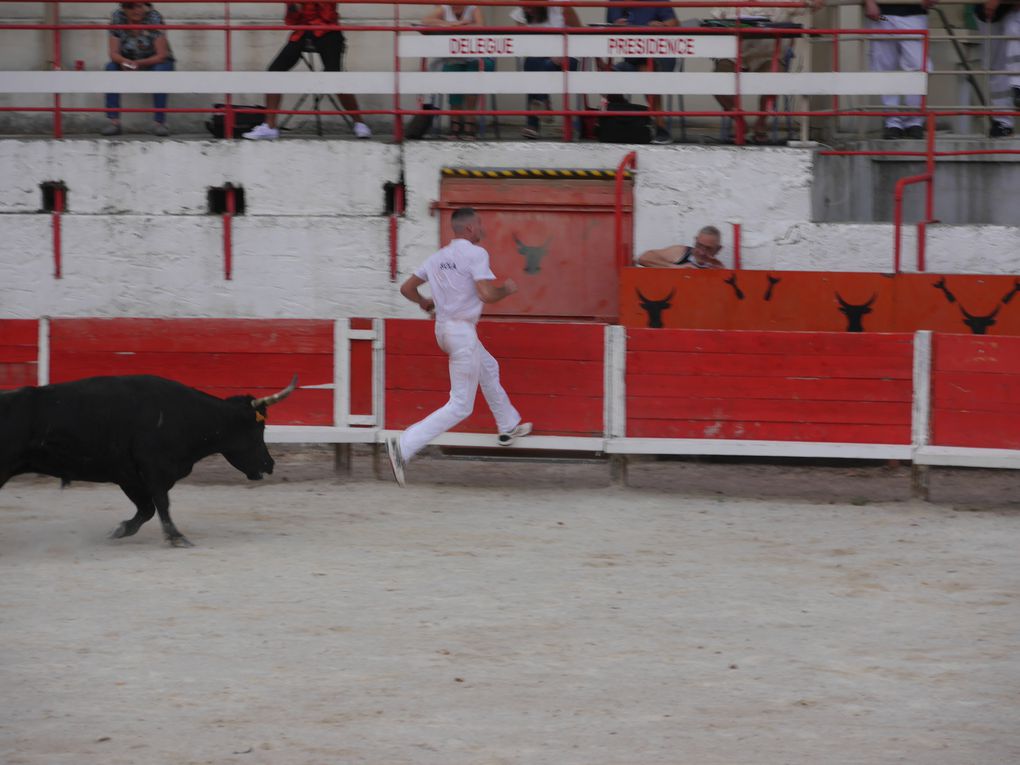 course de taureaux jeunes le 18 septembre 2020