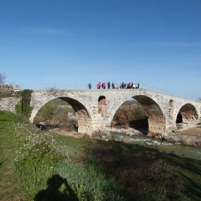 Sortie 2024-04 : Luberon J1 Forêt des cèdres et Sivergues