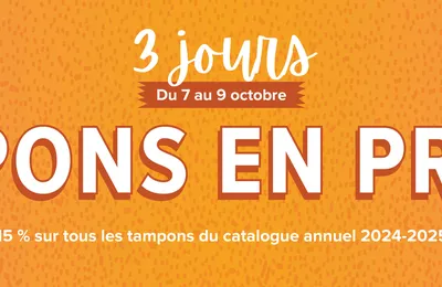 3 jours de promotions !