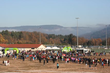 Cross District 2011