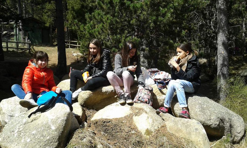 Visita del Parc Animaler dels Angles amb els amics de Lleida