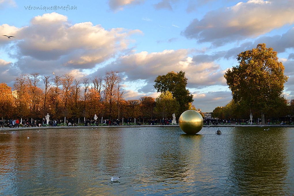 jardins des Tuileries FIAC 2013