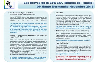 Brèves CFE-CGC des DP 27/76 de novembre 2016