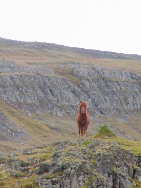 En voyage ERASMUS, pendant 8 mois en Islande