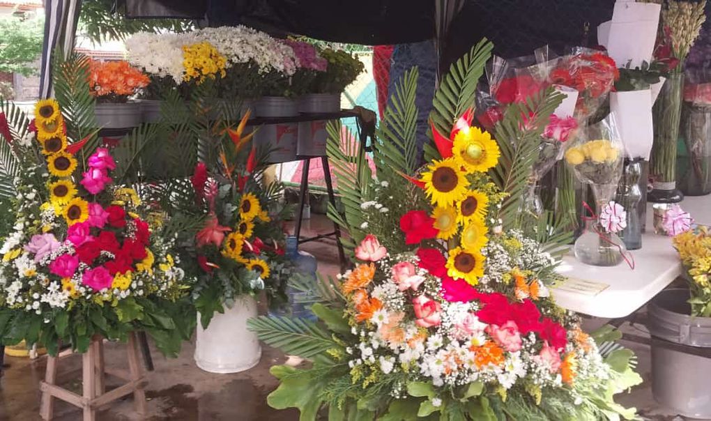 "Punto de Girasoles Milagro de Dios" ofrece variedad de flores al mayor y detal en el Trigal Norte (Publicidad)