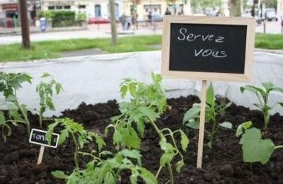 Bacs à légumes dans toutes les rues...