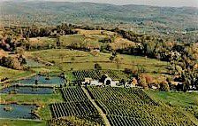 #Maréchal Foch Producers New York Vineyards