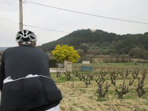 Au départ de St Cyr sur Mer puis passage au Brûlat, le Beausset et on est dans les Gorges de Broussan