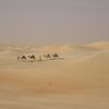 Voyage en Mauritanie, 19 au 26 Novembre