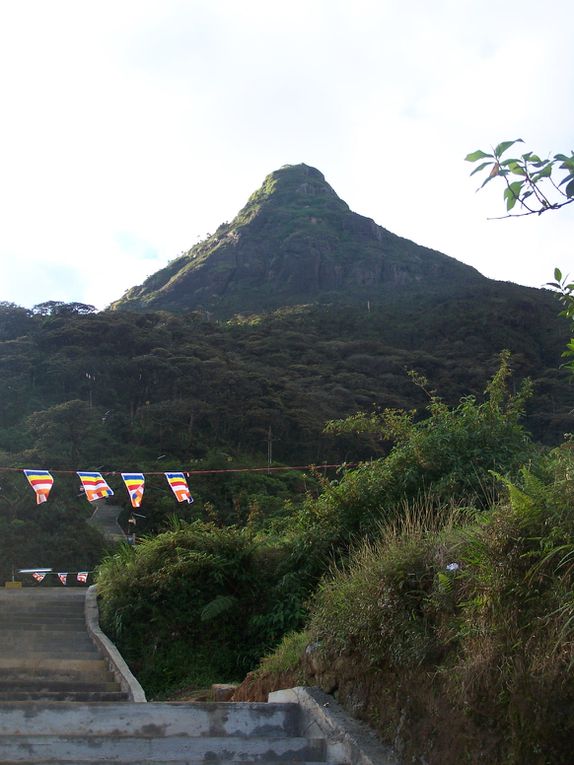 Adam's Peak et voyage en train d'Hatton à Haputale