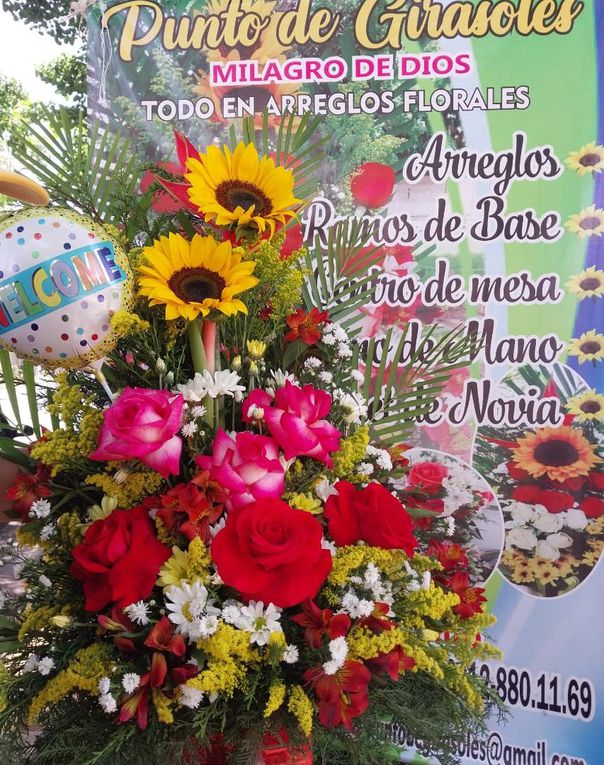 &quot;Punto de Girasoles Milagro de Dios&quot; ofrece variedad de flores al mayor y detal en el Trigal Norte (Publicidad)