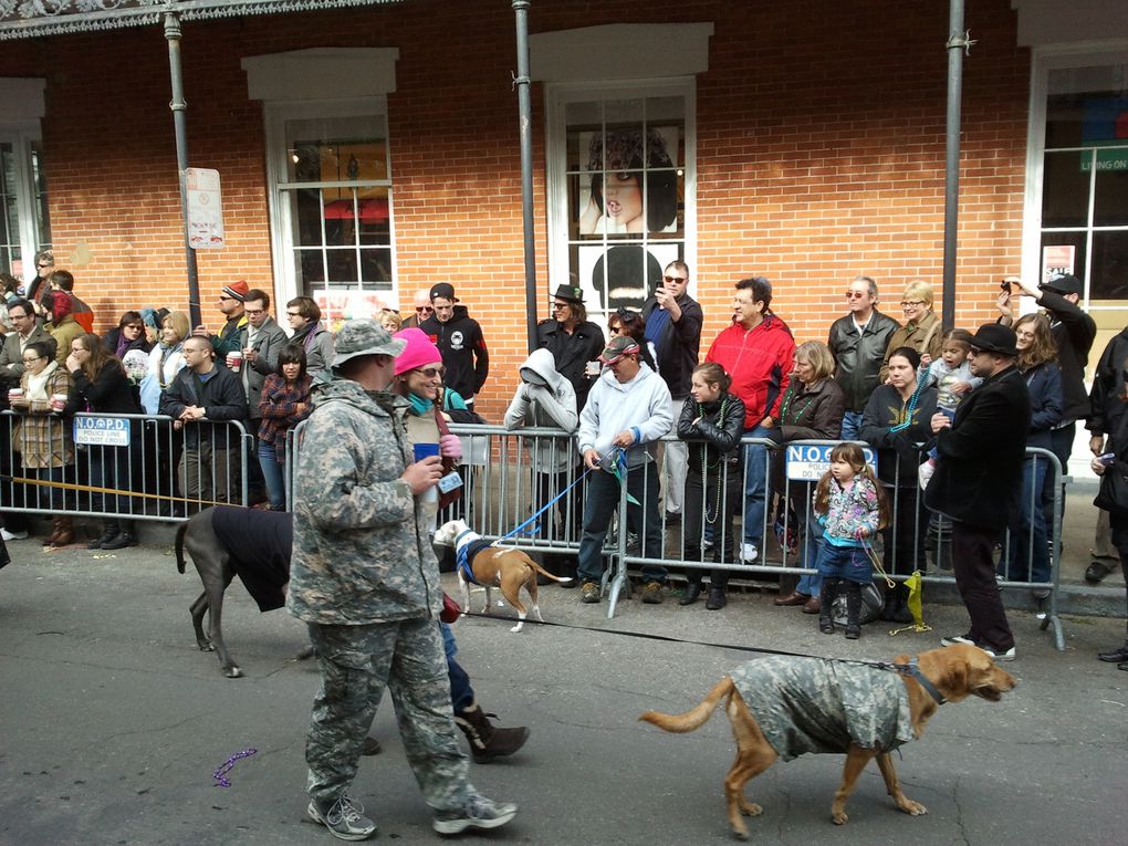 Première parade de notre premier carnaval.