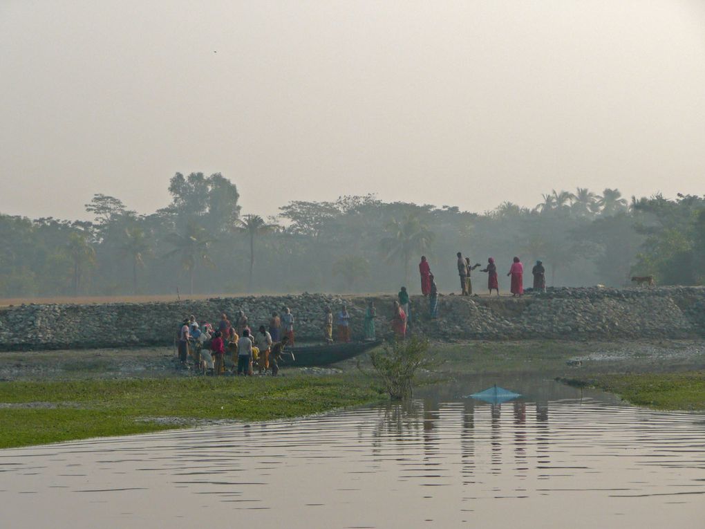 Voyage au Bangladesh (Dhaka et les Sunderbans) décembre 2010-Janvier 2011
