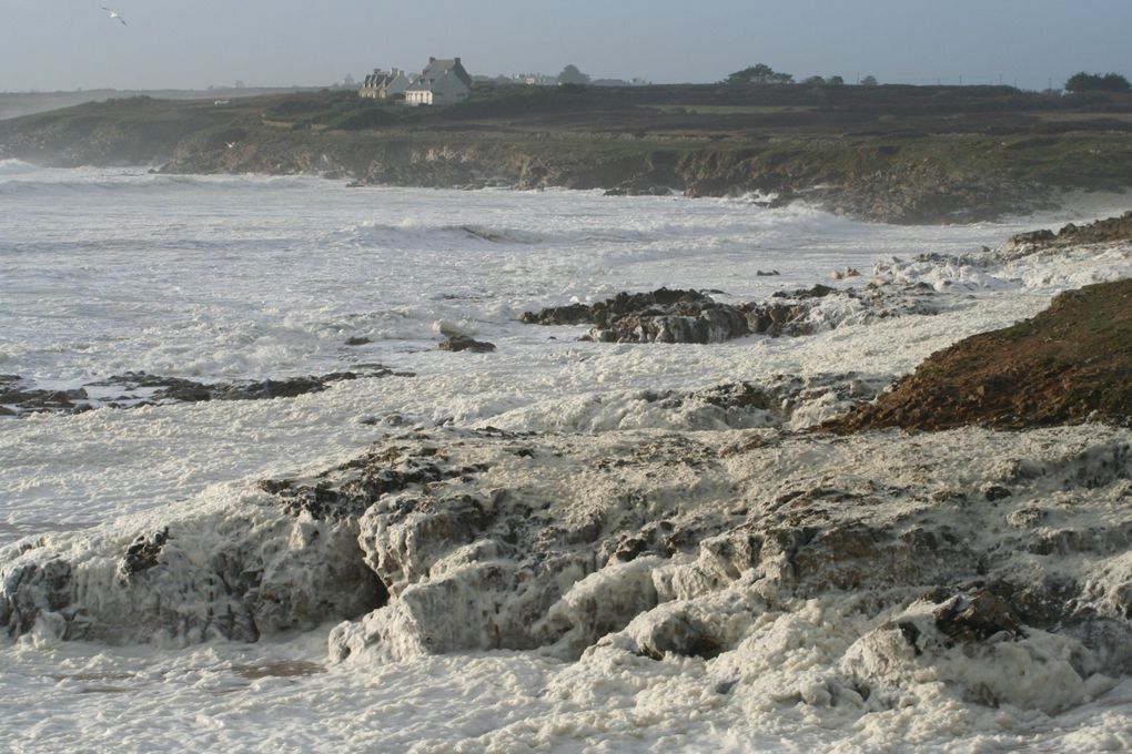 Mes photos de novembre... Le mois noir en breton !