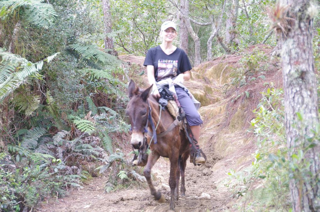 Retour à Jarabacoa