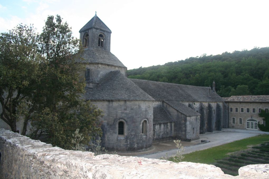 Abbaye de Sénanque  ( Notre Dame de Sénanque)
