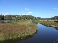 Lac du Moulinet 