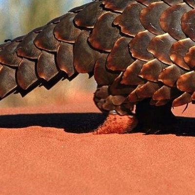 Et les pays du Nord encore plus......