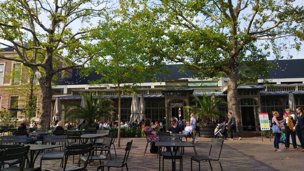 Amsterdam au musée Rijksmuseum et promenade dans la ville en remontant vers le nord jusqu'à la rue Anne Frank