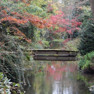 SOORTIE à MEUNG-SUR-LOIRE: ROSERAIE + ARBORETUM DES HOUX