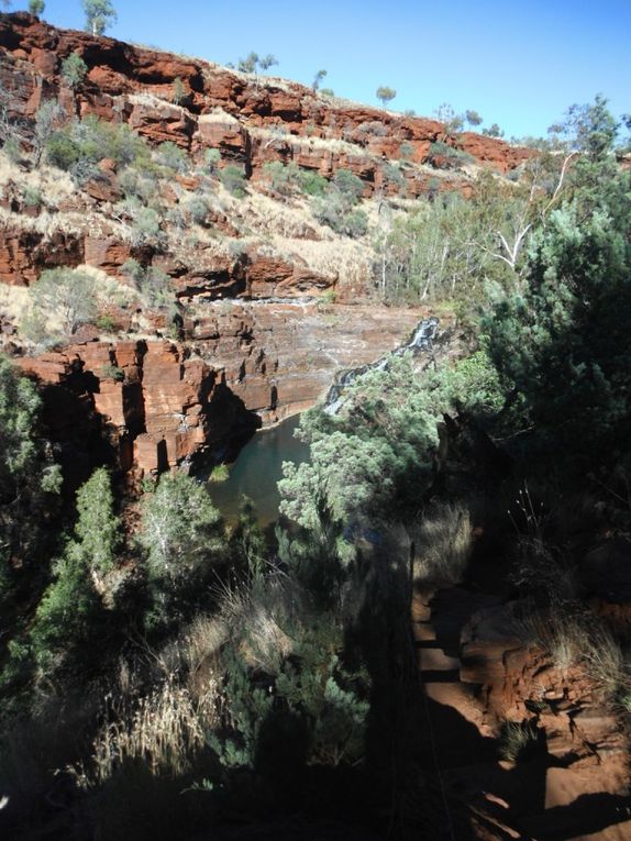 Album - Coral Bay - Broome 30.05.2012