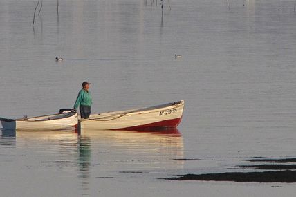 Golfe du Morbihan, Locmariaquer, 11 mars 11, 18h31