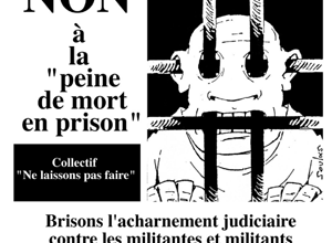 Un article sur le rassemblement d'Ensisheim - Libérez Cipriani!