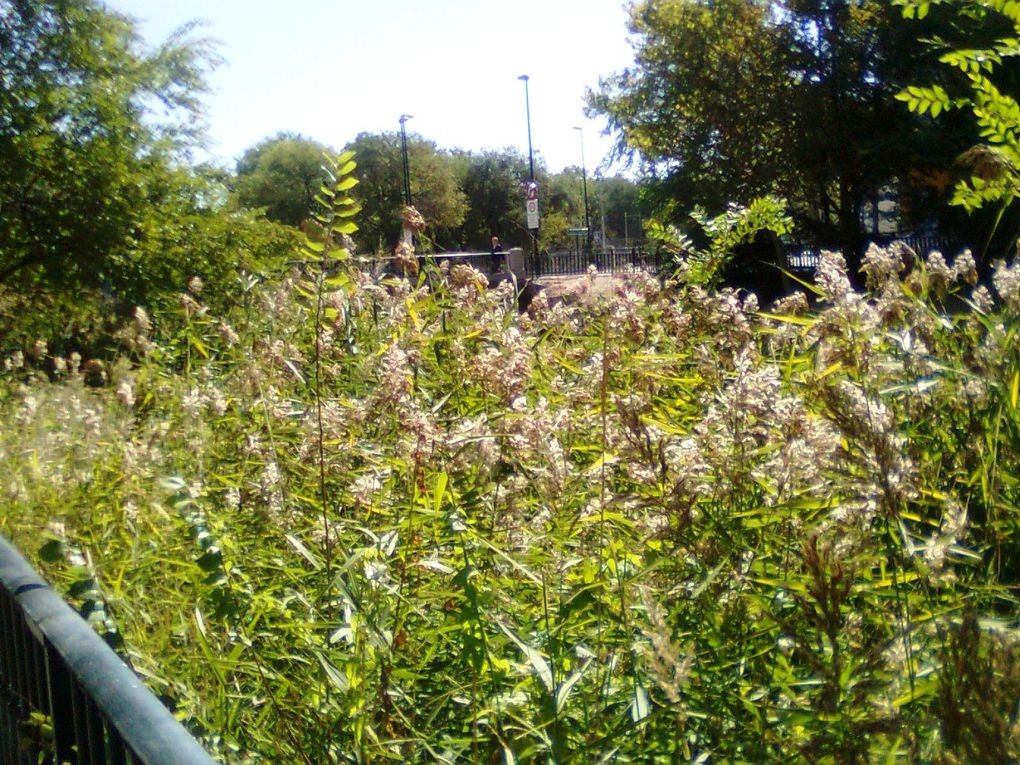 Album - Paseo-del-Canal--Zaragoza-