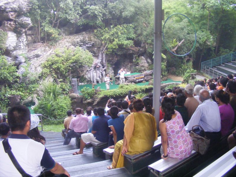 Une journée au Safari Word . Un Zoo, un Parc animalier et des Shows grandioses