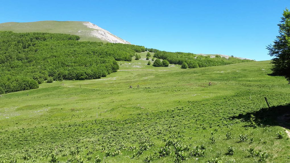 ... et rando VTT pour les derniers. Ceux là ont roulé, la preuve ! 22.6 km et 600 m de dénivelé, un grand bravo, le terrain n'est vraiment pas le même que chez nous !