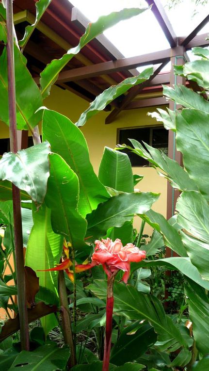 Une note de gaieté et de vitalité aux couleurs épicées...Casita Poró, la pétillante est le jardin d'Eden dont vous rêvez pour un été éternel.