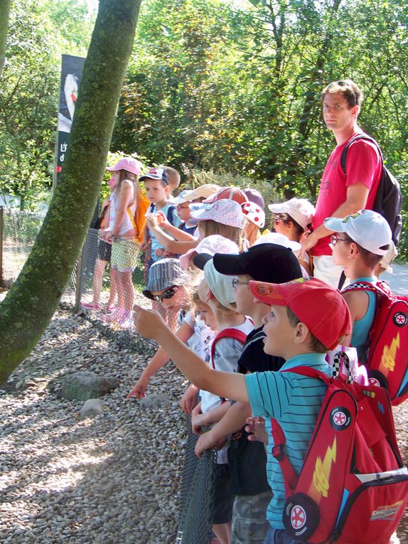 Album - 2011-2012-Parc-des-Oiseaux