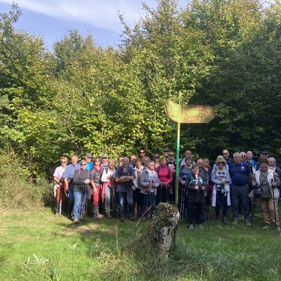 Sortie Jonquilles Mont l’Etroit du jeudi 02 octobre 2025
