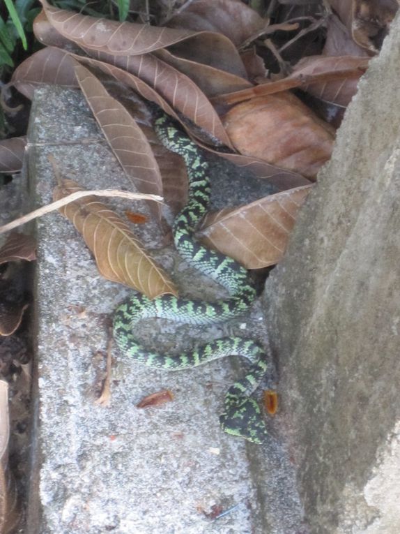 Album - MALAISIE--Perhentian-Islands