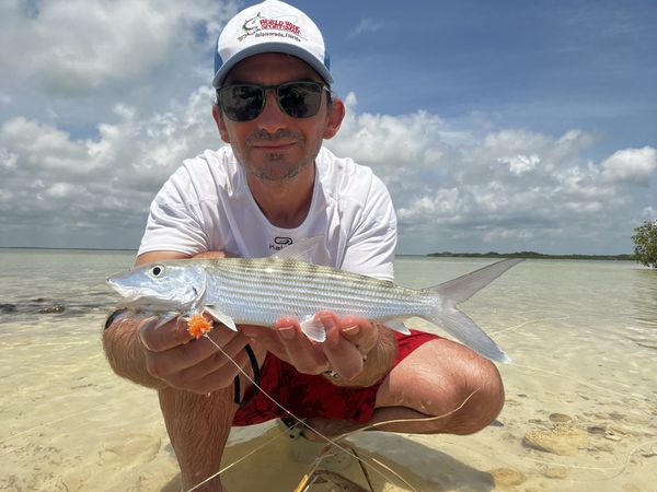 le bonefish est le poisson roi ici mais il n'est pas seul