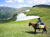 L'Altaï, une des plus anciennes races que l'on puisse trouver en Sibérie