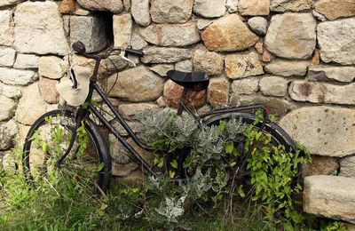 Vélo de grand-mère